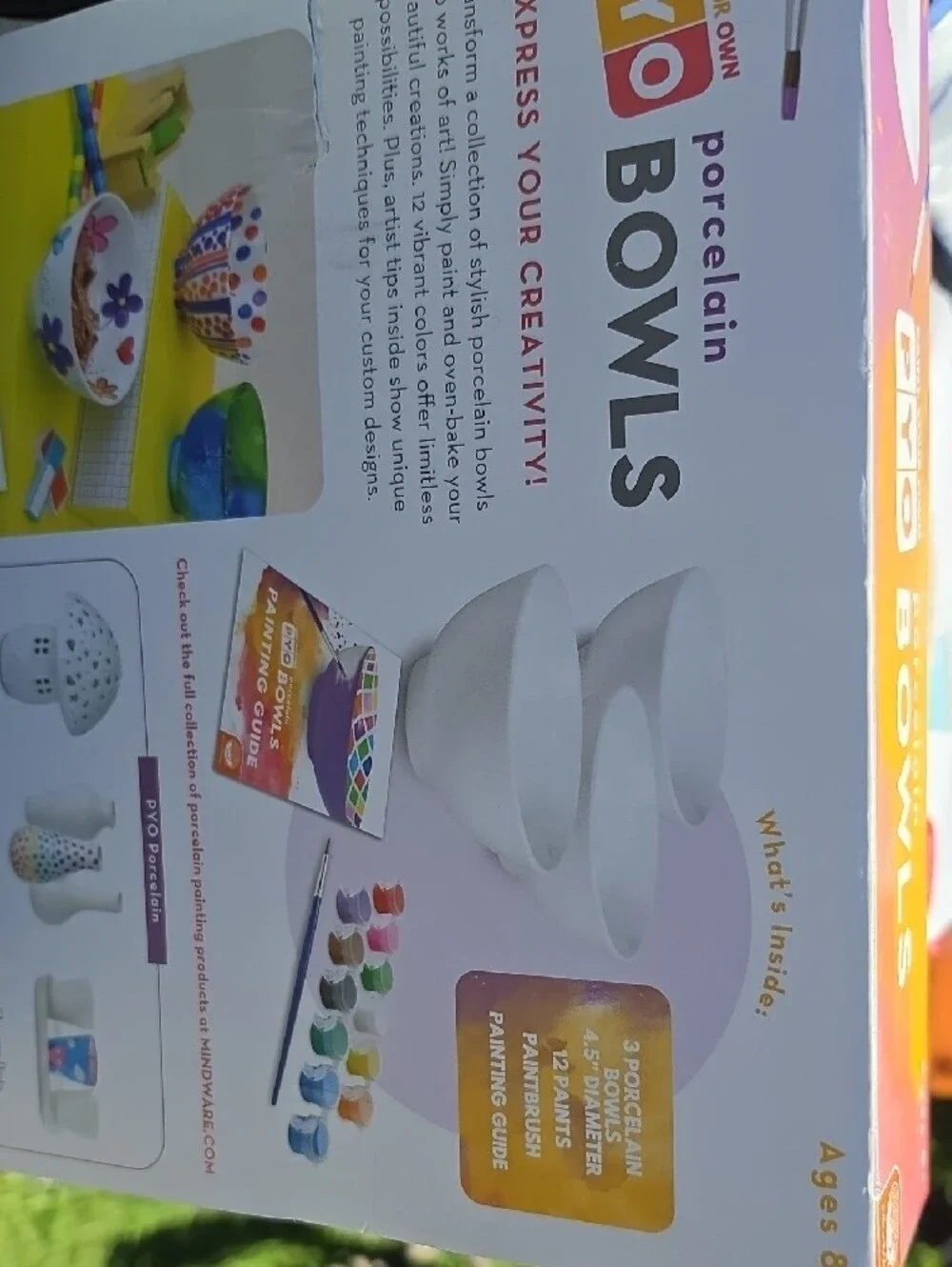Porcelain Bowls Paint-Your-Own Kit – Purple & Multicolor